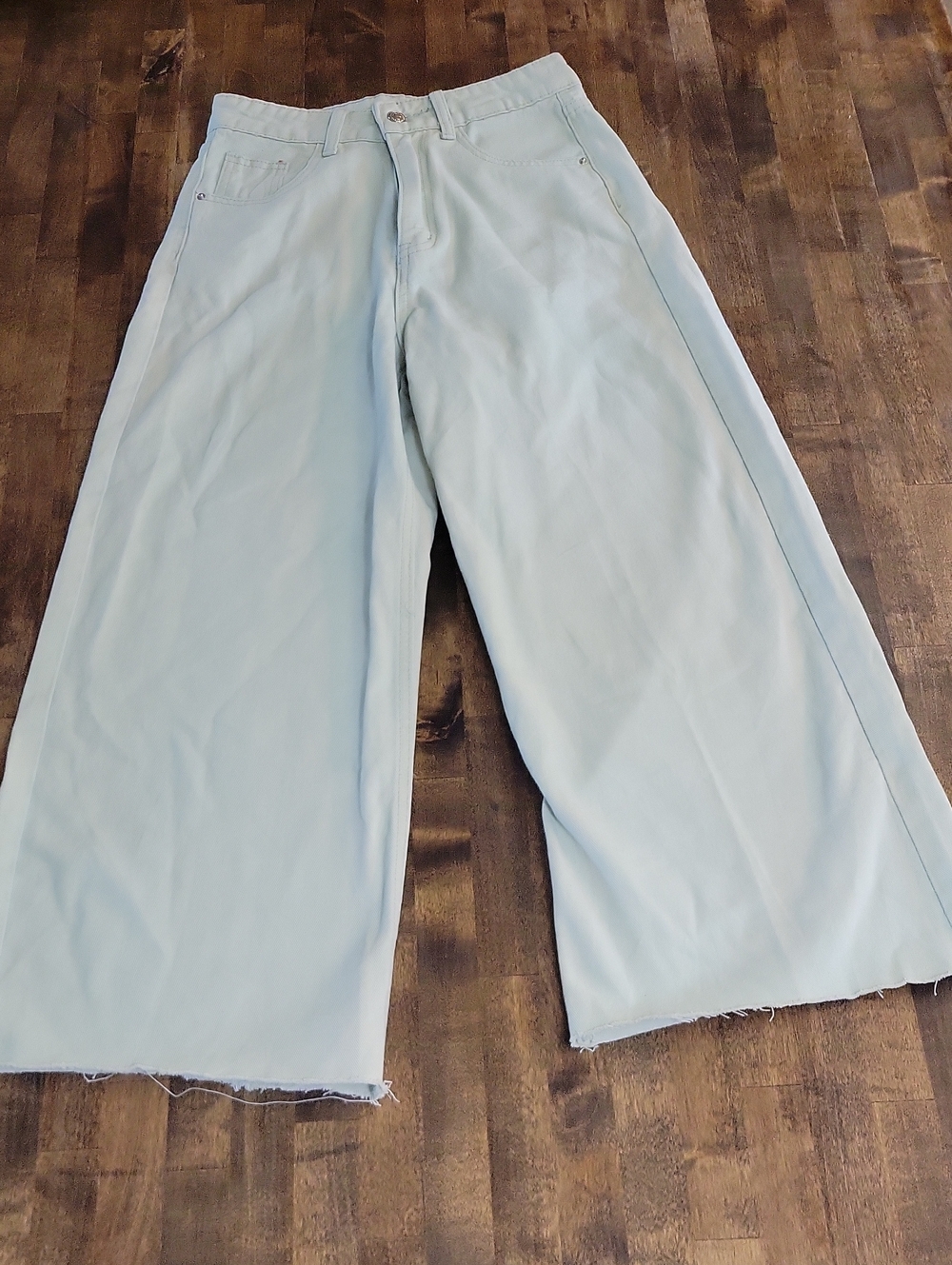 Shein Pale Green Wide-Leg Women’s Pants Size 2